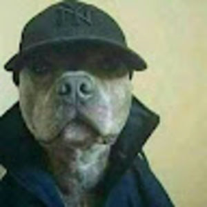 Meet your Posher, Alonso